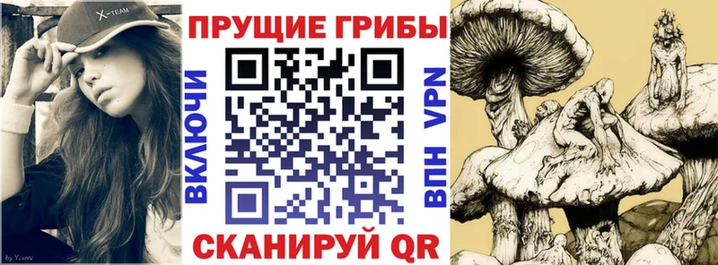 Галлюциногенные грибы Cubensis  хочу   Бирюч 